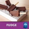 Blue Ribbon Classics Fudge Frozen Treat Bar, 45 fl oz 20 Pack