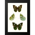 thumbnail image 2 of Vision Studio 11x14 Black Modern Framed Museum Art Print Titled - Butterfly Specimen V, 2 of 5