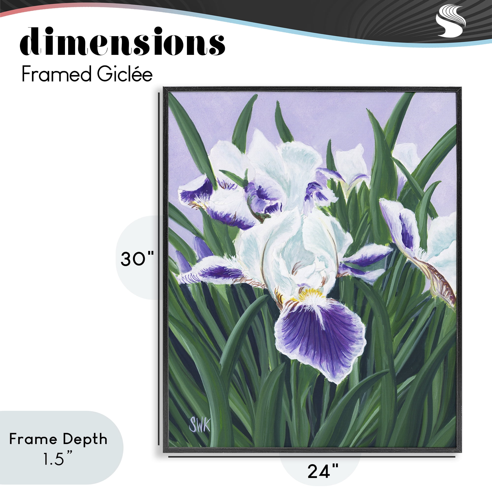 Stupell Industries Purple & White Irises Black Framed Giclee Art, design by Sarah Waldron Kimball