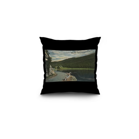 Echo Bedding Pillows Denver, Colorado - Echo Lake Scene with Echo Lake Lodge (16x16 Spun Polyester Pillow, Black Border) ()