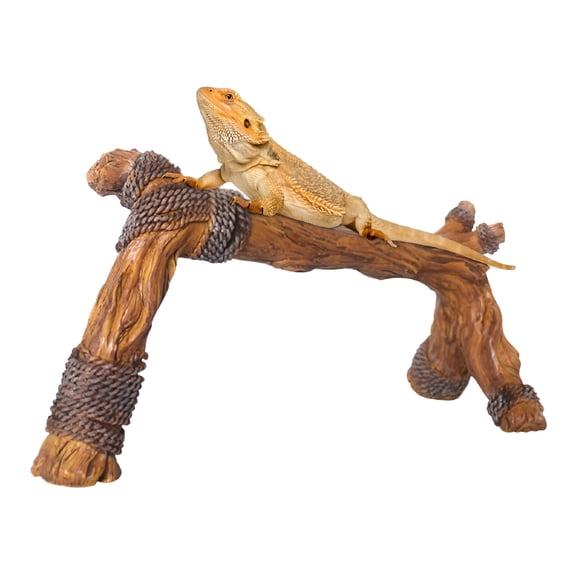 ACDANC Terrarium Branches for Reptiles Reptile Habitat Wood Climbing Branches Multi-Functional Pet Habitat Decoration for Snakes Tortoises Frogs Chameleons and Lizards