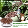 thumbnail image 4 of 4 lb Organic Leca Clay Pebbles for Plants, 4mm-16mm 100% Natural Leca Balls for Indoor Plants, Hydroton Clay Pebbles for Plants Hydroponic Aquaponics Growing Orchid Drainage Terrarium, 4 of 7