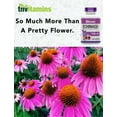 thumbnail image 3 of tnvitamins Echinacea Capsules (1500 MG x 180 Capsules) | Echinacea Root Herbal Extract Supplement, 3 of 6