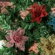 thumbnail image 4 of Billuyoard Navidad cabeza de flor artificial fiesta vacaciones año nuevo boda casa de campo oficina comedor café decoración falsa ornamento Kits de decoración para fiestas Rosado, 4 of 6