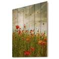 thumbnail image 1 of Design Art - Fleurs de Pavot Rouges dans un Champ Vert, 1 of 5