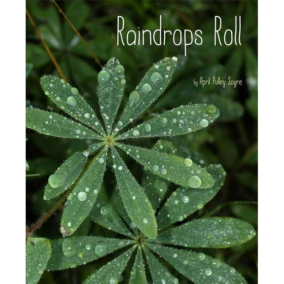 Weather Walks Raindrops Roll, (Hardcover)