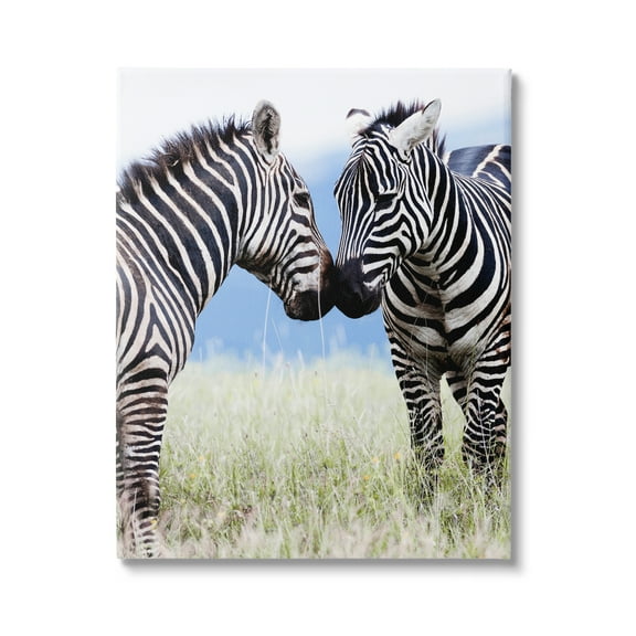Stupell Industries Heartwarming Zebras Kissing in Field Animal Wildlife Photograph Gallery Wrapped Canvas Print Wall Art, Design by Danita Delimont