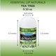 thumbnail image 3 of Bálsamo labial Chap-Ice Mini 50 unidades SPF-15 3 sabores, 3 of 9