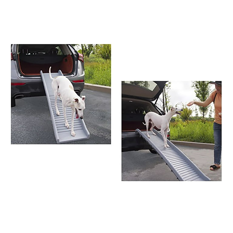 Fold up dog ramp best sale for car