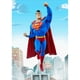 thumbnail image 1 of Taladro de pintura de diamante (DB7270) 5D DIY Kits de mosaico de punto de cruz de Batman completo (hg753) 45x60cm FLhrweasw Nuevo, 1 of 1