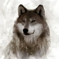thumbnail image 2 of Robinson, Carol 20x20 White Modern Wood Framed Museum Art Print Titled - Forest Wolf, 2 of 4