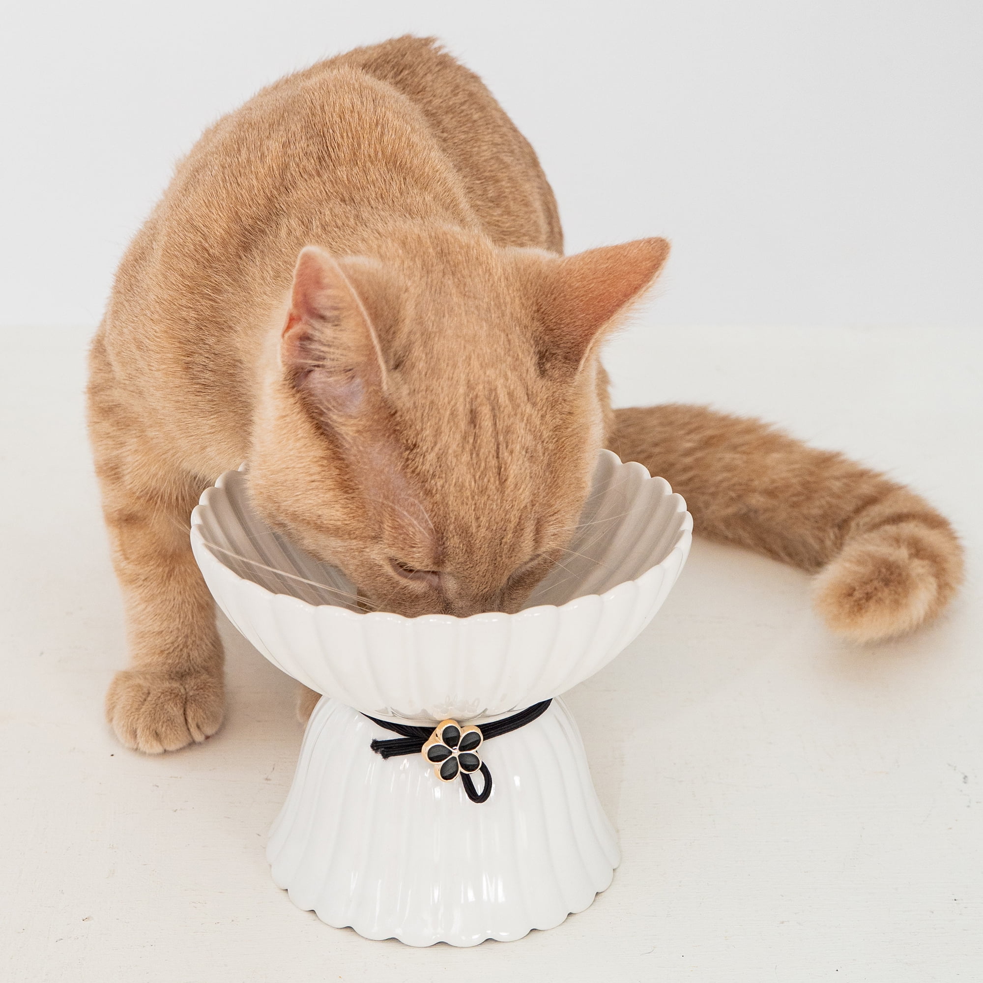 Dexypaws: Elevated Ceramic Bowl For Cats - White & Black Flower - 8.45oz Capacity, Pet Feeding Dish, Dishwasher Safe, Food & Water, Ergonomic Height