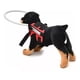 thumbnail image 3 of Arnés Para Perros Ciegos, 3 of 5