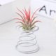 thumbnail image 3 of Air Plant Spring Wire Tabletop Tillandsia Holder Miniature Gardening Decorations, 3 of 4