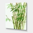 thumbnail image 3 of Designart ' Detail of Dark Green Bamboo and Leaves II ' Traditional Canvas Wall Art Print, 3 of 4