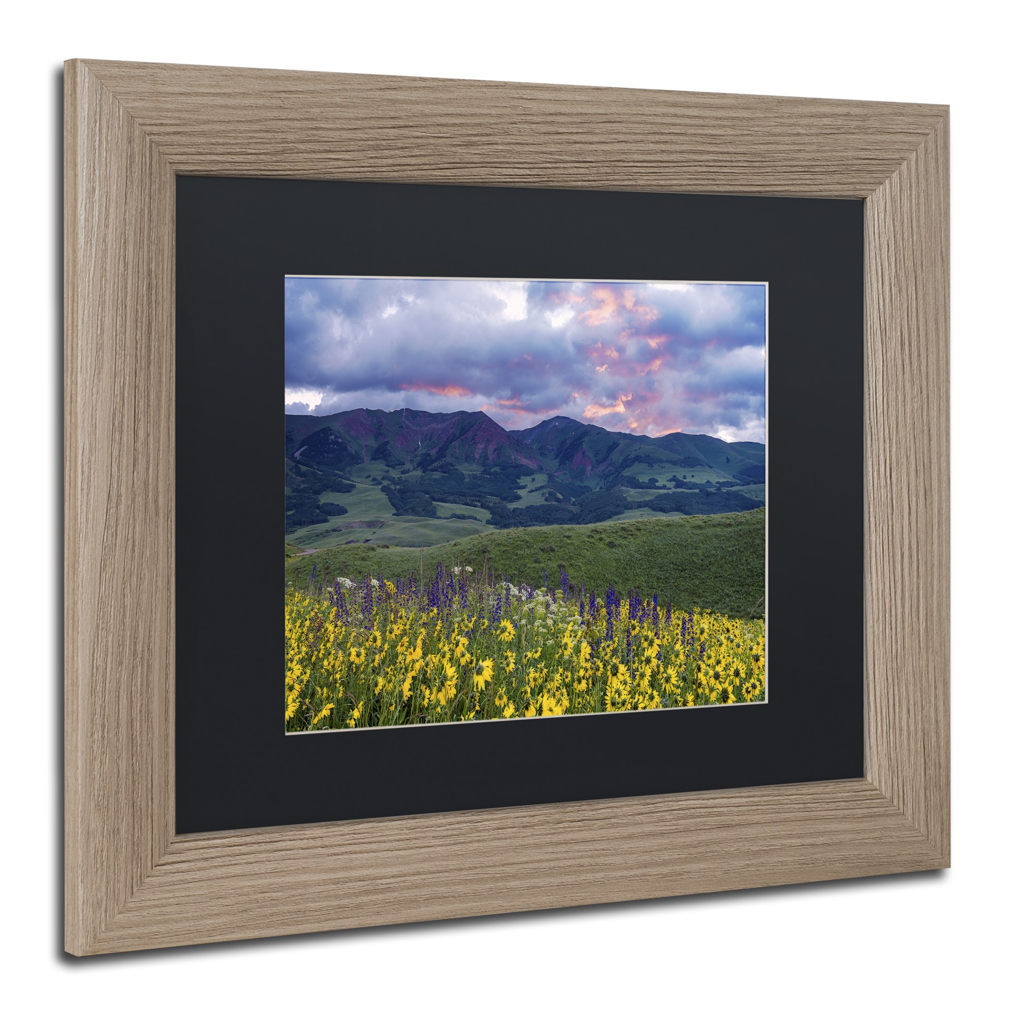 Trademark Fine Art "Crimson Flare" Canvas Art by Michael Blanchette Photography Black Matte, Birch Frame