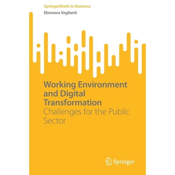 SpringerBriefs in Business Working Environment and Digital Transformation: Challenges for the Public Sector, (Paperback)
