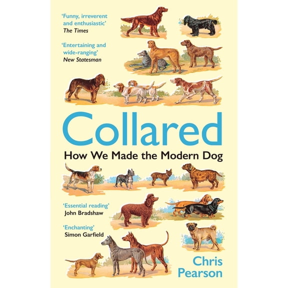 Collared: How We Made the Modern Dog, (Paperback)