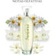 thumbnail image 3 of Zermat Stefanni Perfume para Mujer 50 ml  Eau de Parfum Floral Frutal, 3 of 6