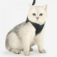 thumbnail image 2 of CNKOO Cat Harness Escape Proof Small Cat And Dog Soft Mesh Vest Harnesses Adjustable Pet Harness, 2 of 8