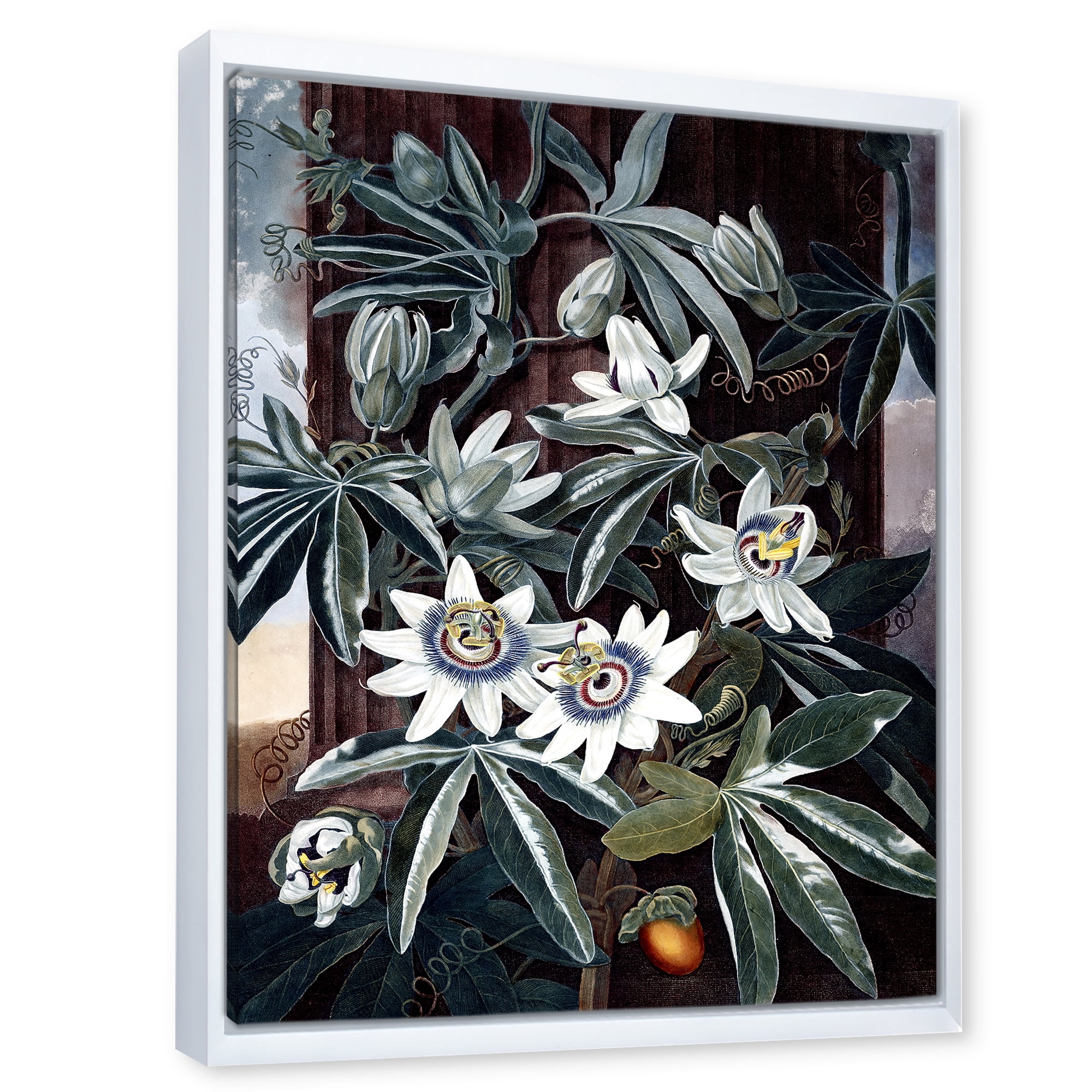 Designart 'Ancient Flowers I' Traditional Framed Canvas Wall Art Print