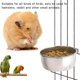 thumbnail image 4 of Juego de 3 comederos para pájaros de acero inoxidable con soporte de abrazadera, para periquitos, agapornis, cotorras y cacatúas, 4 of 5