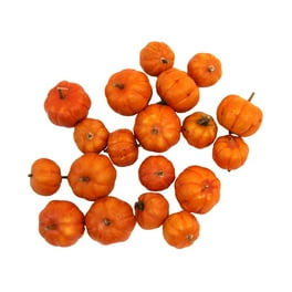 Set 18 Mini Artificial Pumpkins Thanksgiving Fall Home Decor Arts Craft Supply Set 18 Mini Artificial Pumpkins Thanksgiving Fall Home Decor Arts Craft Supply