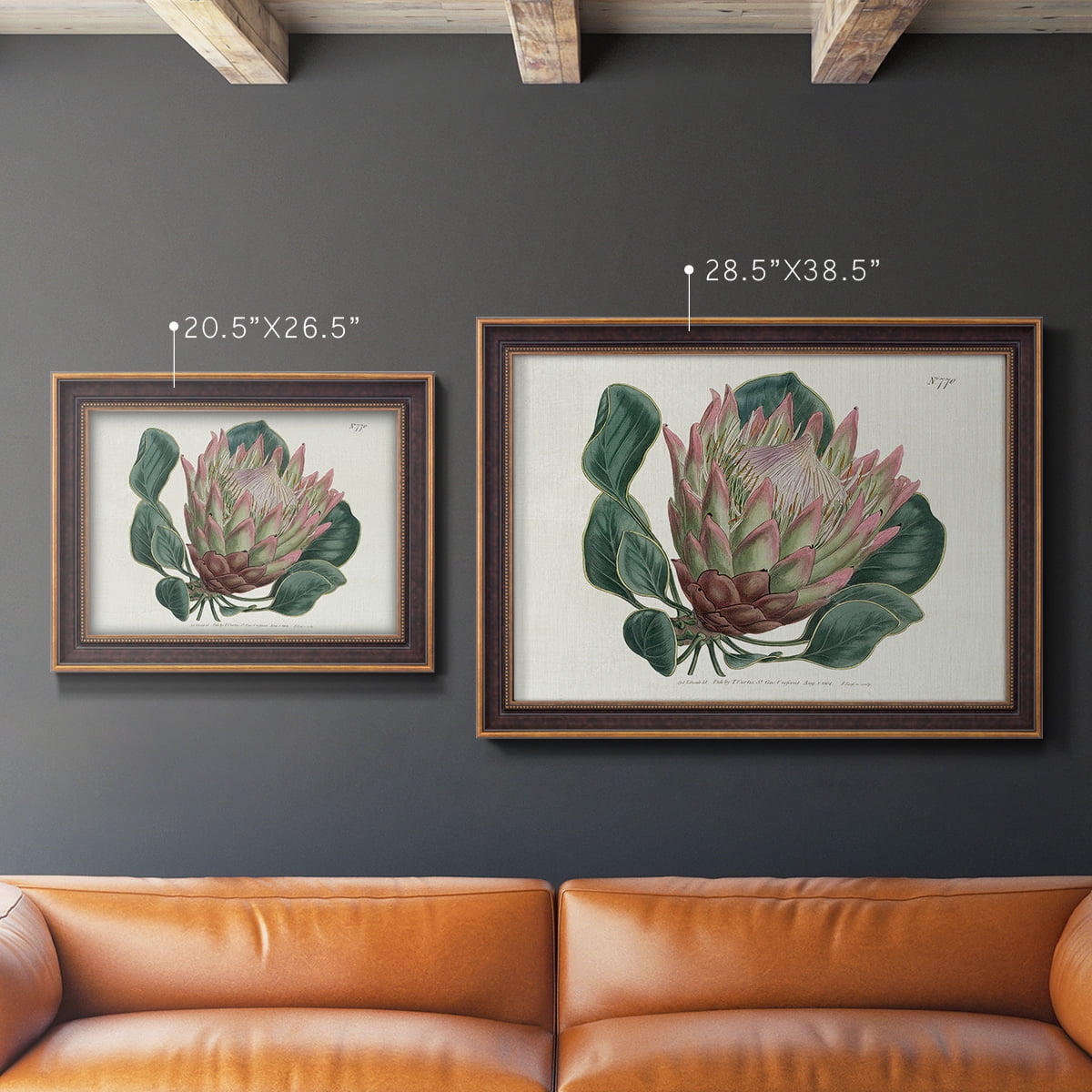 Protea N70 Premium Framed Canvas- Ready to Hang