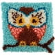 Wonderart Kit Crochet de Verrouillage 12 "X 12" Hoot Hoot 426112 – image 1 sur 2