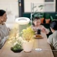 thumbnail image 3 of Plant Grow Light,Full Spectrum LED Plant Light for Indoor Plants, Height Adjustable Growing Lamp with Auto On/Off Timer 3/9/12H, 9 Dimmable Brightness, Ideal for Small Plants (Single lamp), 3 of 7