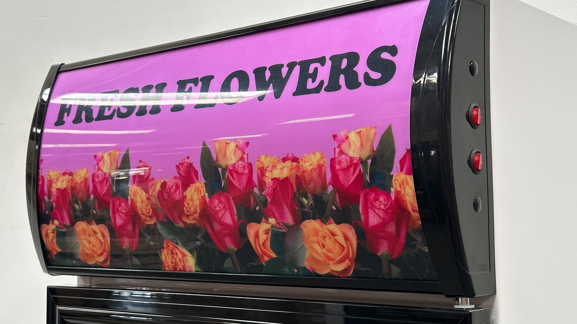 25 in. Commercial Flowers Cooler 13 Cu.Ft. Floral Refrigerator Display, Glass Door Refrigerator, NSF Certified