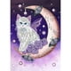 thumbnail image 2 of Cuadros Decorativos 5D DIY gato especial en forma de diamante pintura cruz puntada mosaico kits arte de la pared Ndcxsfigh Nuevos Originales, 2 of 8