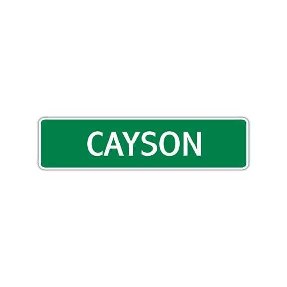 Cayson Boys Children Name Letter Printed Label Indoor Outdoor Unique Wall Plaque Decoration Aluminum Metal Sign 4"x13.5"