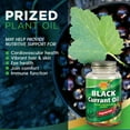 thumbnail image 2 of Nature's Life Black Currant Seed Oil 1000mg | Vegetarian, Cold Pressed | With GLA Omega-6 and ALA Omega-3 | 60 CT, 2 of 5