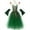 Dress+Accessory, variant on Girls Halloween Forest Elf Fairy Costume Green Sleeveless Tulle Tutu Dress+ Arm Sleeves+ Elf Ears+ Garland