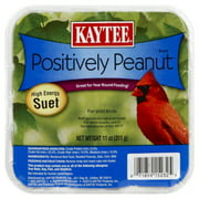 Kaytee Pet Products Bkt51122 Suet Cake Peanut Pet Food, 11-Ounce