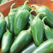 Burpee Organic Jalapeño Early Hot Pepper Vegetable Seed, 1-Pack