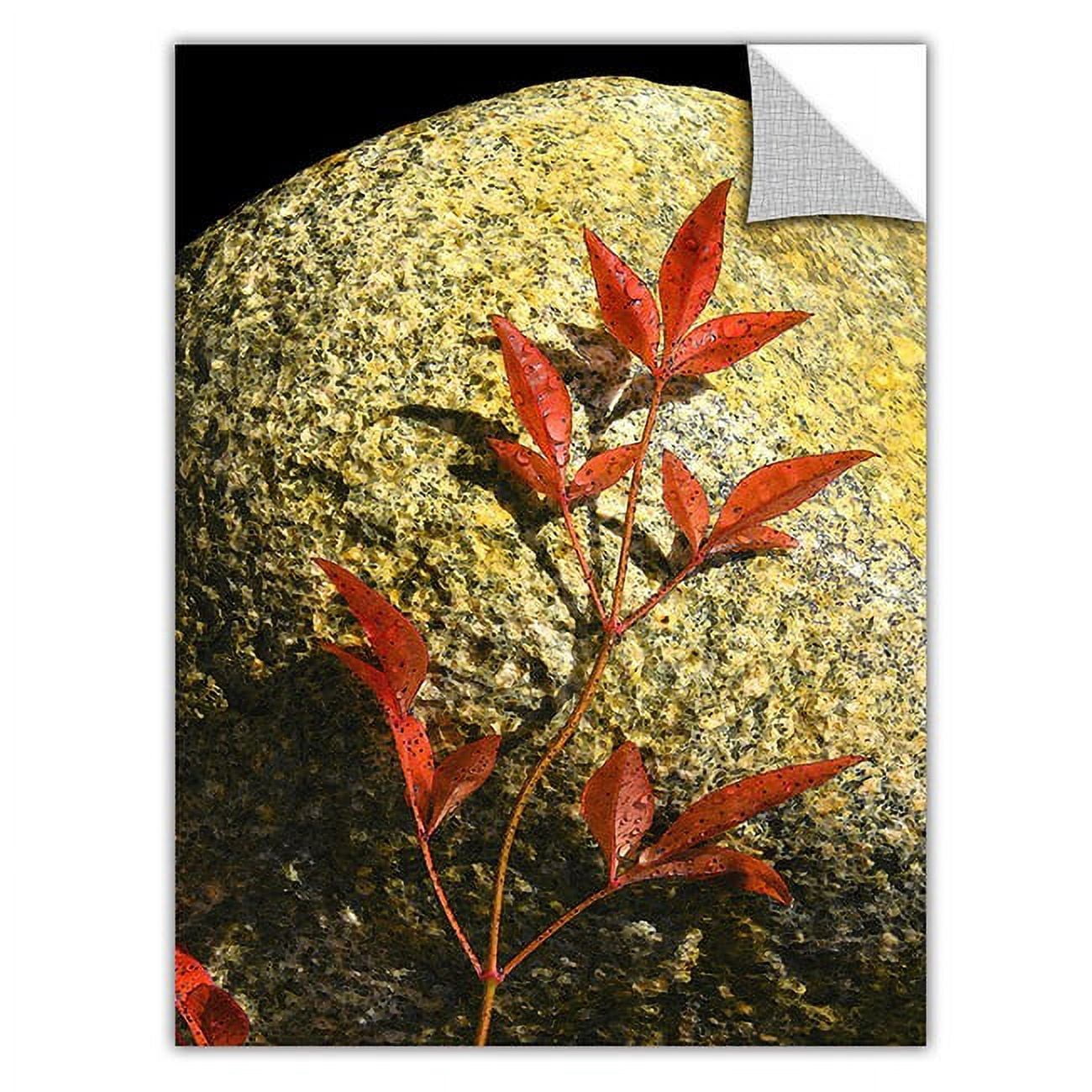 Dean Uhlinger "Natural World 15" Removable Wall Art