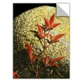 thumbnail image 2 of Dean Uhlinger "Natural World 15" Removable Wall Art, 2 of 2