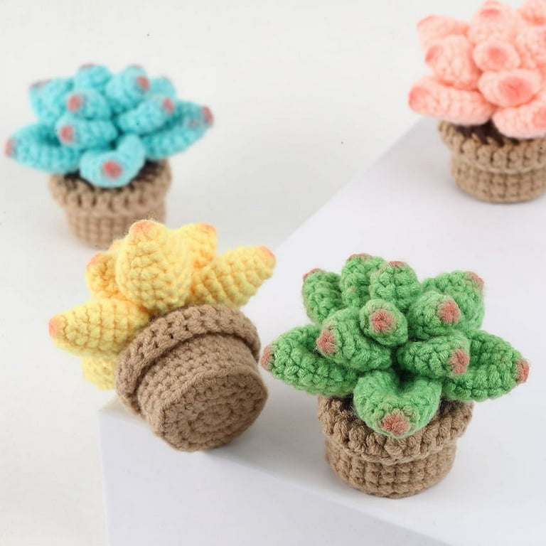 Nogis 4pcs Crochet Kit for Beginners, Succulents Crochet Potted Kit Fun Potted Crochet Kit for Adults and Kids, DIY Crochet Potting Kit with Step-by