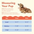 thumbnail image 6 of Oodles Adjustable Dog Walking Harness with Handle, Green, Medium, 6 of 12