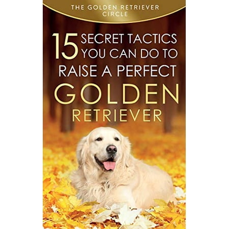 Golden Retriever: 15 Secret Tactics You Can Do To Raise a Perfect