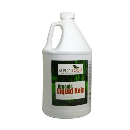 Liquid Kelp Organic Seaweed Fertilizer, Natural Kelp Seaweed Based Soil Growth Supplement for Plants, Lawns, Vegetables - 1 Gallon of Concentrate