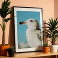 thumbnail image 3 of Skyward Gaze - Athens Greece Photography Bird Wildlife Seaside Coastal Nature Ocean Minimalist Black Framed Wall Art Print 5 x 7 inches, 3 of 9