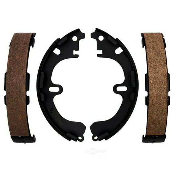 Raybestos 750PG Professional Grade Drum Brake Shoe Set