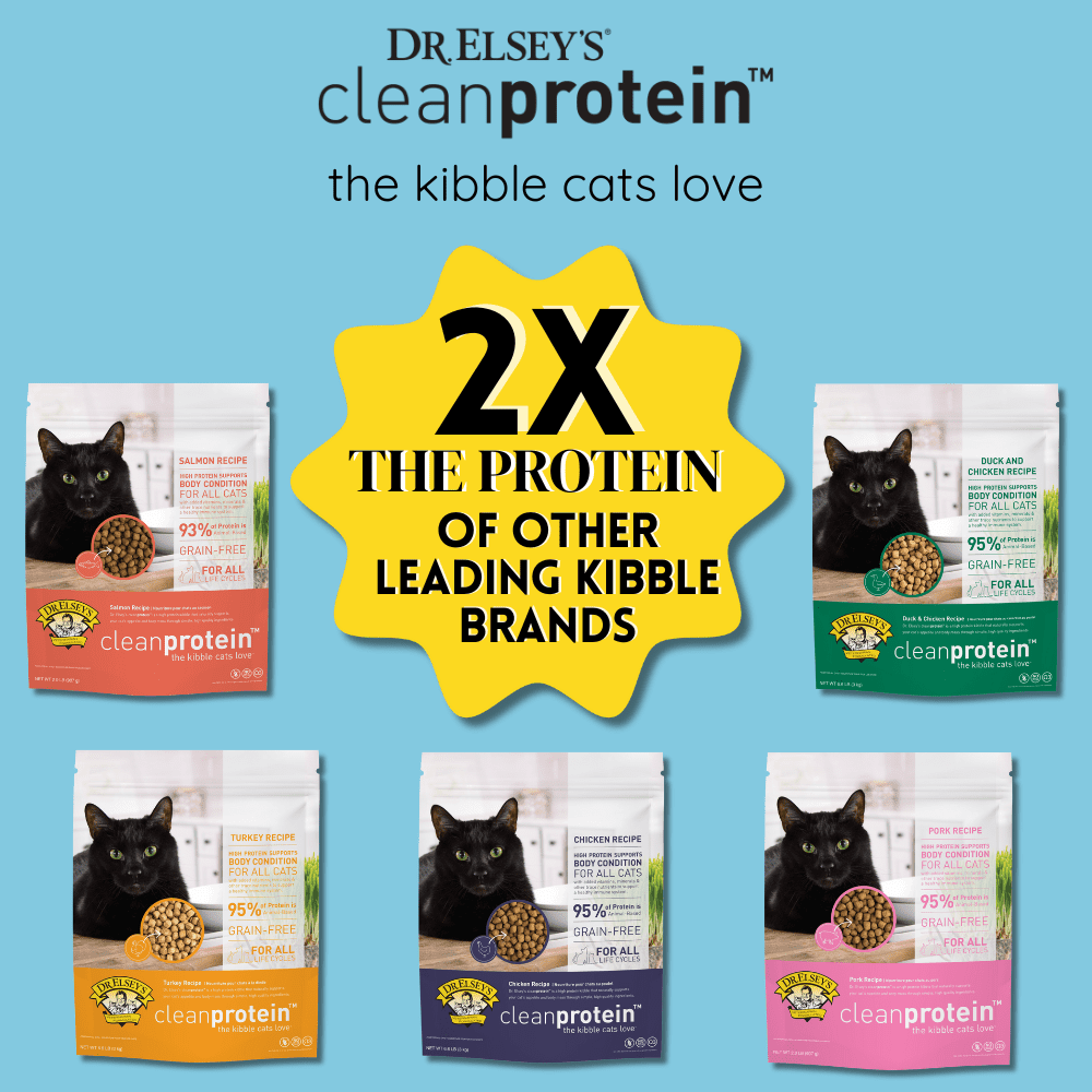 Dr. Elsey's cleanprotein Grain-Free Duck Flavor Dry Cat Food for All Life Stages 6.6 lb. Bag