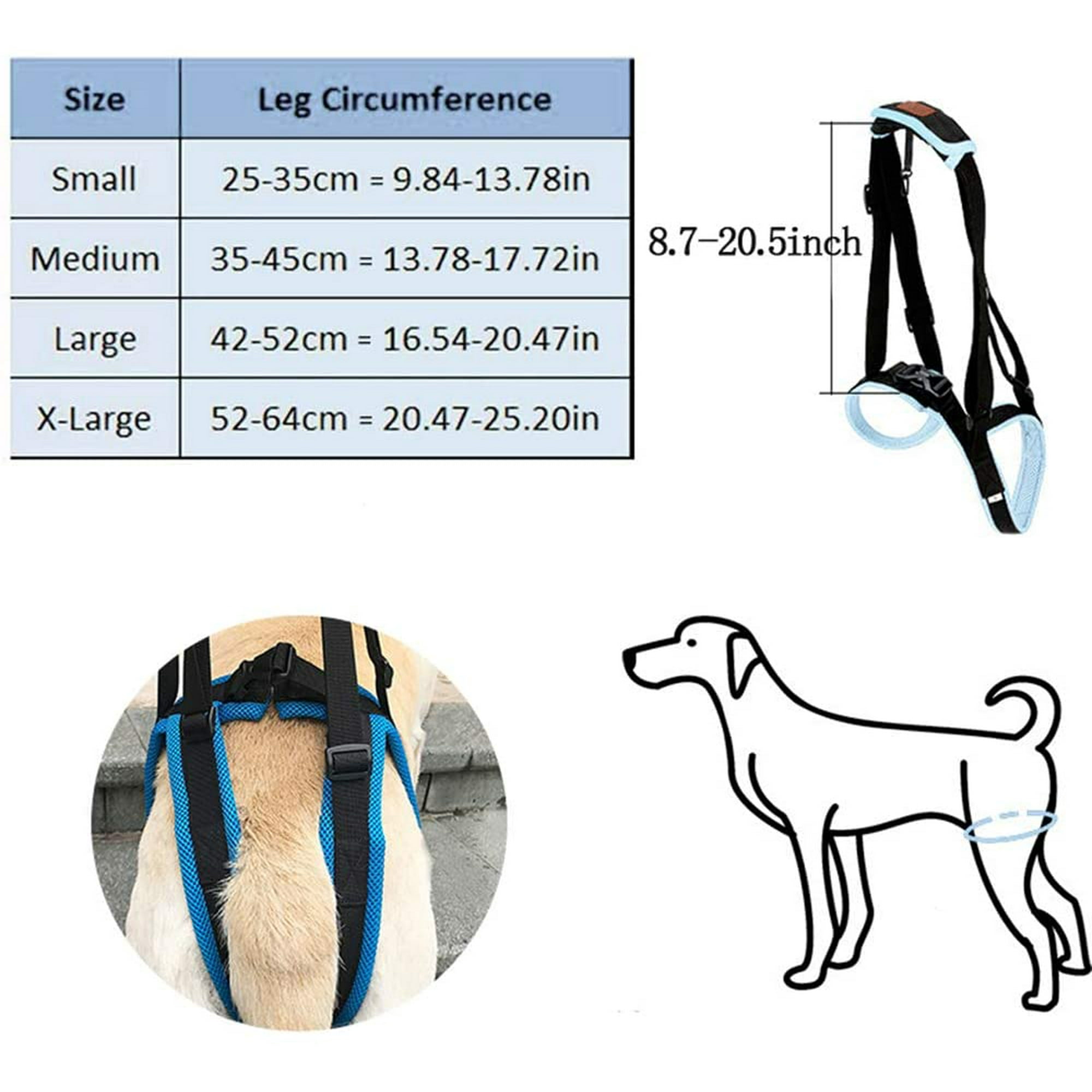 How To Help Your Dog With Back Pain