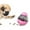 C, variant on YUANZI Dog Treat Toys Enrichment Puzzle Food Dispenser Ball Toy IQ Training for Small Medium Dog
