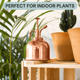 thumbnail image 5 of Sustainable Village Indoor Plant Mister, 5 of 6