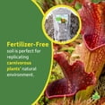 thumbnail image 4 of Sprig & Stone Josh's Frogs Carnivorous Plant Soil (1 qrt) - Venus Fly Traps/Pitchers/Sundews, 4 of 5